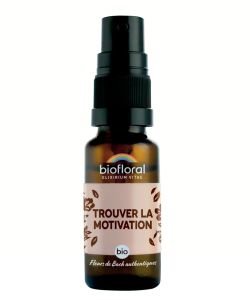 Trouver la motivation SPRAY BIO, 20 ml